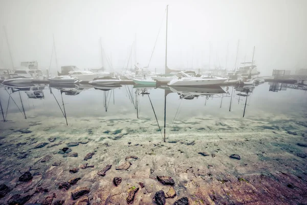 Une Banque Brouillard Qui Est Renversée Fiddler Cove Sud Coronado — Photo