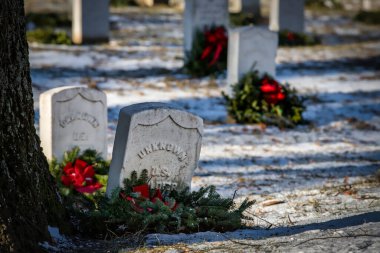 Virginia 'da ulusal bir mezarlıktaki cahil askerlerin mezarları..