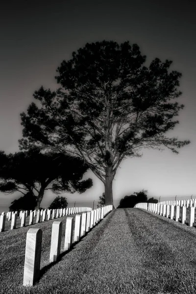 Temprano Mañana Cementerio Del Sur California —  Fotos de Stock