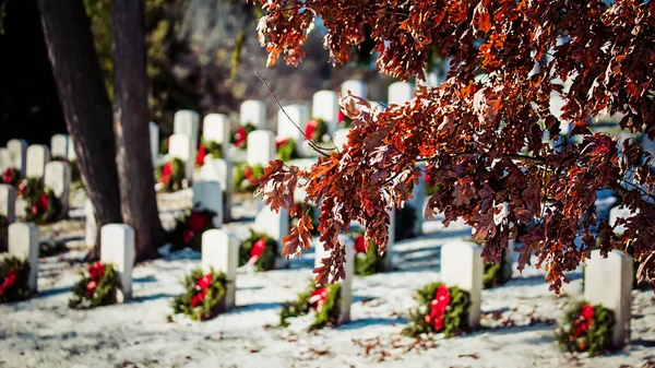 Unfallen Autumn Leaves Still Tree National Cemetery Virginia Snow Wreaths — Stock Photo, Image