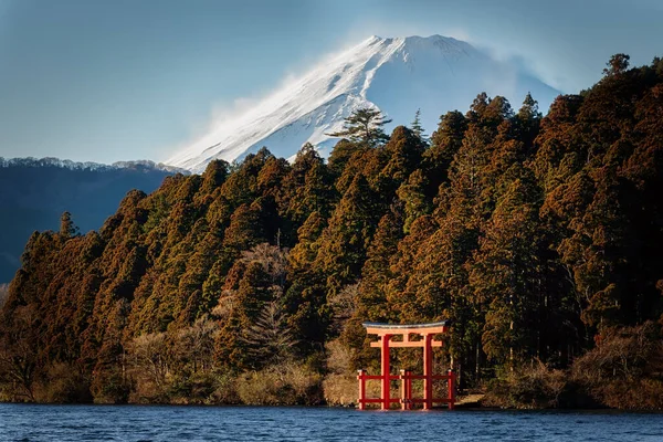 Дерево Пагорбі Парку Канонзакі Поблизу Йокосуки Починає Скидати Осіннє Листя — стокове фото