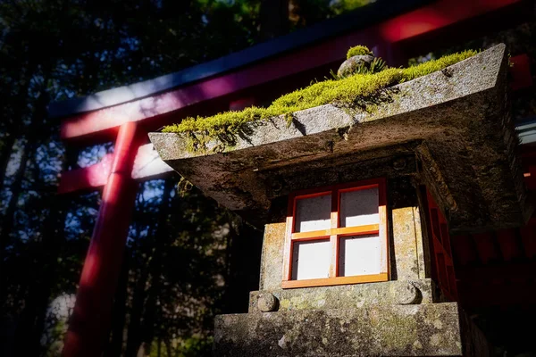 箱根神社近くの森の中の灯籠と鳥居 — ストック写真