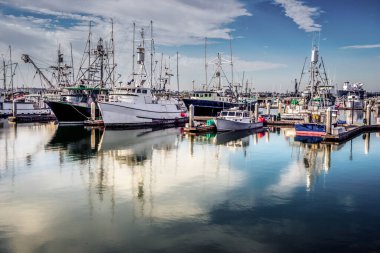 Güney Kaliforniya 'da bir balıkçı filosu marinada oturuyor..