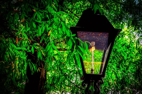 Uma Lâmpada Gás Fica Sombra Das Árvores Histórico Occoquan Virgínia — Fotografia de Stock