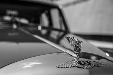1963 model bir Bentley 'in ön ucu ve kaput süsü..