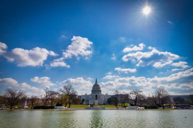 ABD Kongre Binasında bir bahar günü Yansıyan Havuz.