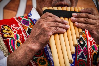 Bir adam Yoyogi Parkı 'ndaki Meksika Festivali' nde geleneksel Peru müziği eşliğinde pan flütü çalıyor..