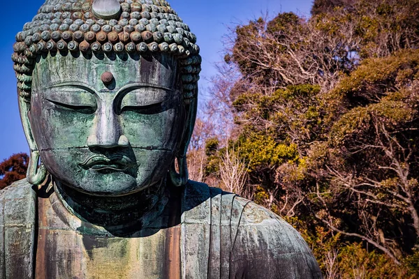 Kamakura Daibutsu Grote Boeddha Van Kamakura — Stockfoto