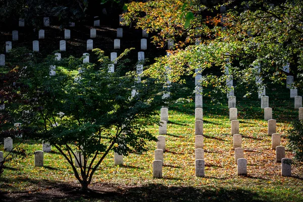 Sun Shines Leaf Covered Graves Hill Arlington National Cemetery — Stock Photo, Image