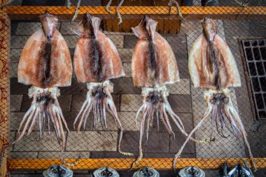 Japonya 'da Jogashima sokaklarında mürekkep balığı kurutuluyor..