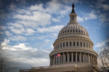 Washington, DC 'de bir bahar günü..