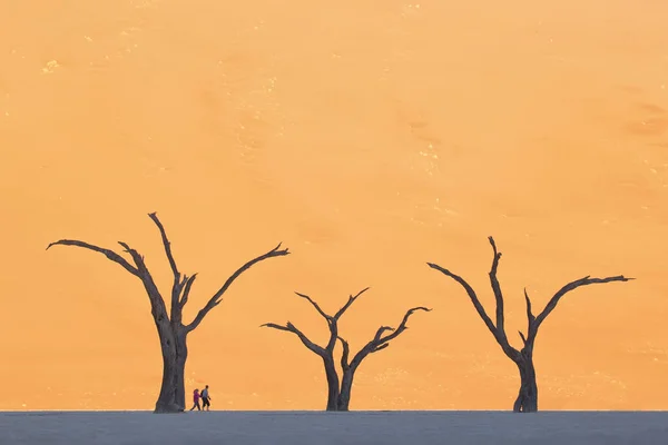 砂漠の砂丘に対して裸の木 — ストック写真