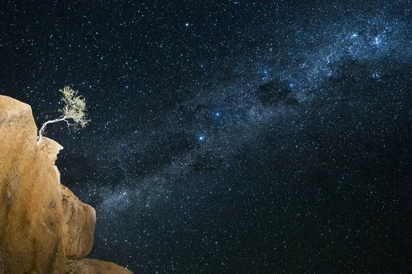 Een Boom Groeit Een Onmogelijke Positie Onder Melkweg — Stockfoto