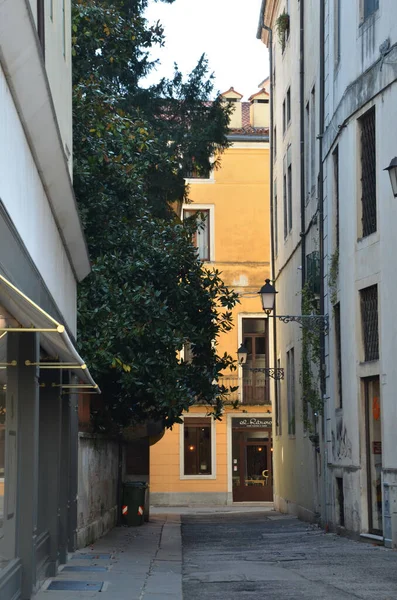 Vicenza Italy 2017 緑豊かな静かな通り — ストック写真