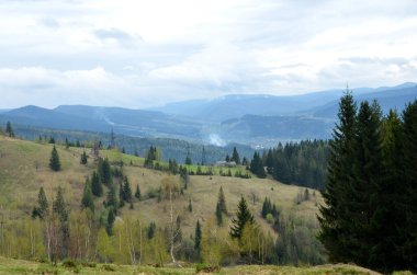 Dağların köyünde ilkbahar manzarası. Karpat Dağları, Ukrayna.