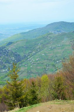 Dağların köyünde ilkbahar manzarası. Karpat Dağları, Ukrayna.