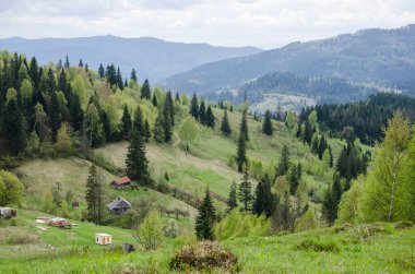 İlkbahar panoramik manzara dağ köyünde çiçek açan ağaçlarla birlikte. Karpat Dağları, Ukrayna.