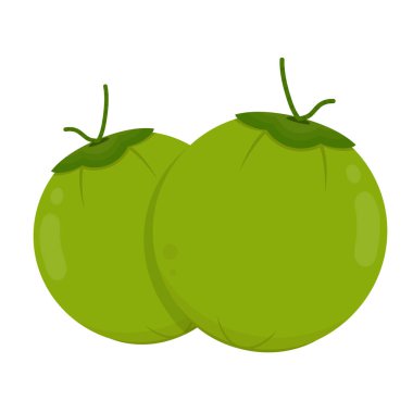 Yeşil Hindistan cevizi. Hindistan cevizi logosu tasarımı. Hindistan cevizi vektörü. Beyaz arkaplanda hindistan cevizi.