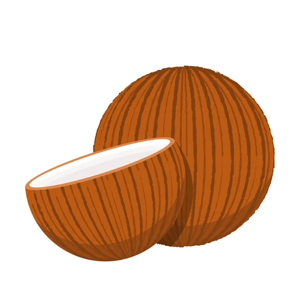 Coconut Logo Design Coconut Vector Coconut White Background — Stock Vector