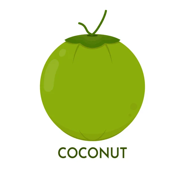 緑のココナッツ ココナッツロゴデザイン ココナッツベクトル 白い背景のココナッツ — ストックベクタ