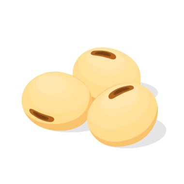 Soya fasulyesi vektörü. Beyaz arka planda soya fasulyesi. Metin için boş alan.