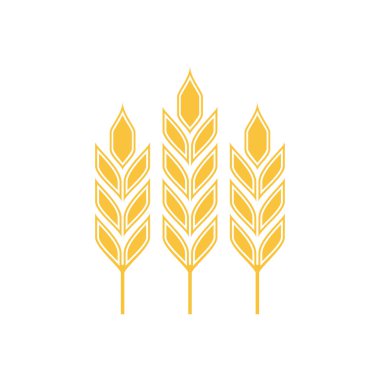 Pirinç sembolü Yulaf sembolü vektörü. Duvar kağıdı. logo tasarımı.
