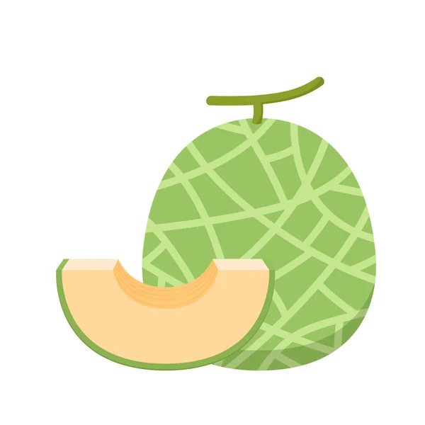 Vector Melón Melón Sobre Fondo Blanco — Archivo Imágenes Vectoriales