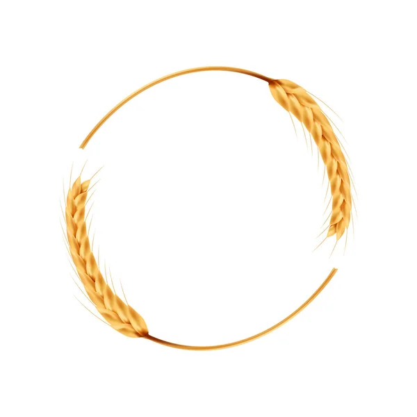 Beyaz arka planda pirinç vektörü. Yulaf vektörü. Duvar kağıdı. Metin için boş alan. Boşluğu kopyala.