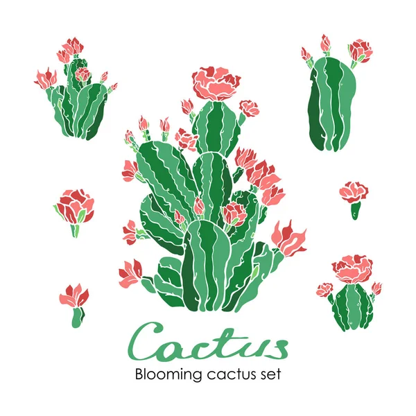 Vector Set Blooming Cactus Mexican Cactus Vibrant Flowers Various Stages — Stock Vector
