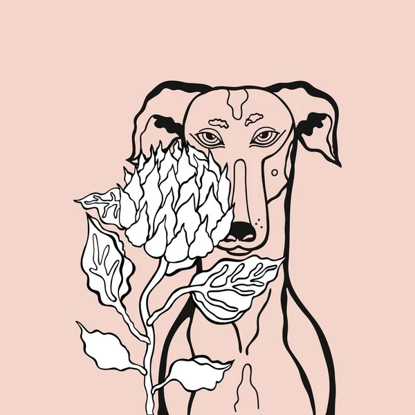 Vektorkép Egy Virágos Kutyáról Szelíd Háttérrel Egyedülálló Kézrajz Protea Királyi — Stock Vector