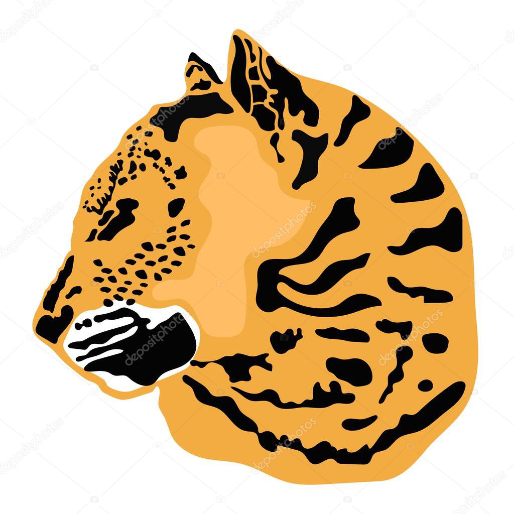 Vector illustration of a leopard head. Leopard profile. Big wild cat. Object for design, logo.
