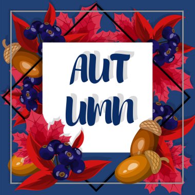 Sonbahar çiçekli arka plan beyaz çerçeveli sonbahar akçaağaç yaprakları, meşe palamudu ve böğürtlen. Vektör illüstrasyonu.