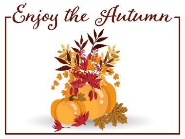 Sonbahar metninin sonbahar arka planında sonbahar çiçekleri, akçaağaç yaprakları, böğürtlen ve balkabakları beyaz arka planda. Vektör illüstrasyonu.