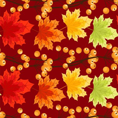 Sonbahar çiçeksiz sonbahar akçaağaç yaprakları ve kırmızı arka planda böğürtlen deseni. Vektör illüstrasyonu.