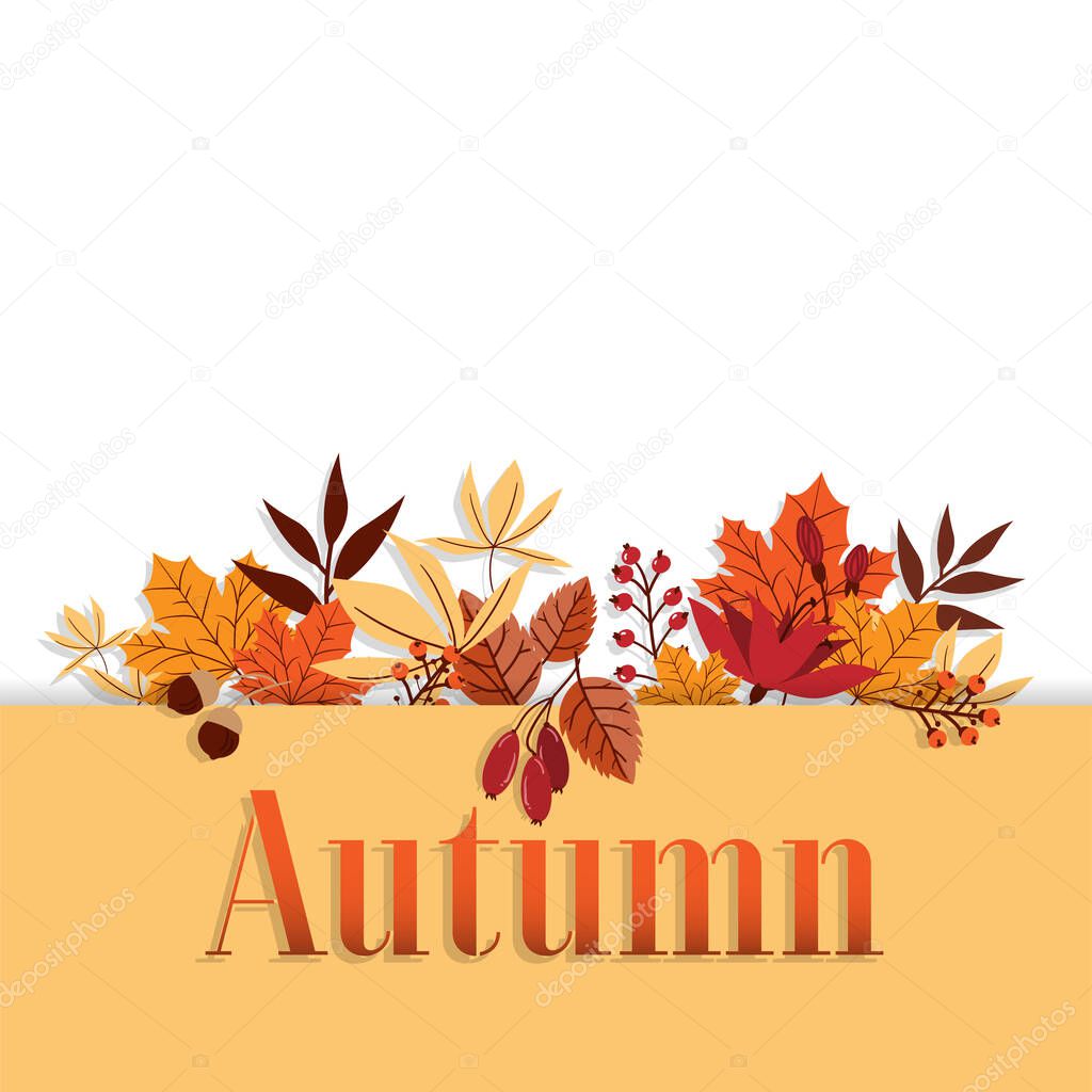 Autumn banner of Autumn text with autumn leaves, flowers, acorns and berries frame on white background with your copy space. Vector illustration.