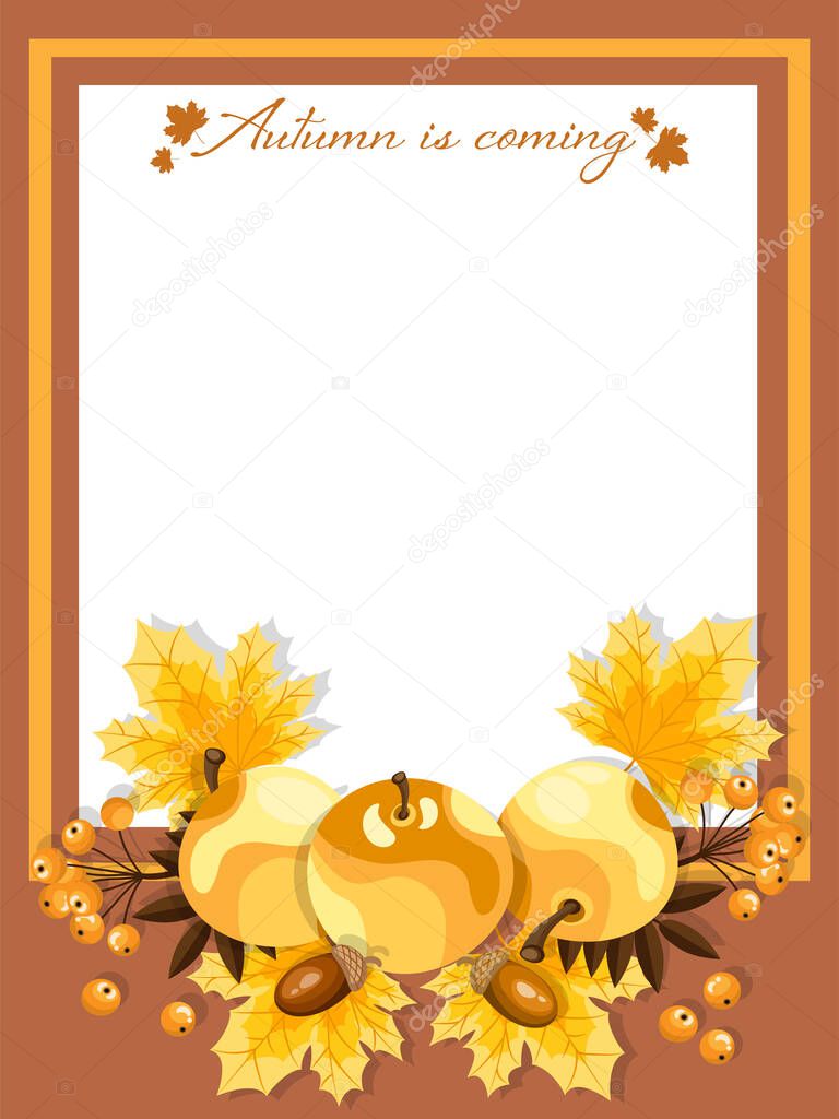 Autumn floral background of Autumn is coming text with autumn maple leaves, apples, berries and acorns with frame and your copy space. Vector illustration.