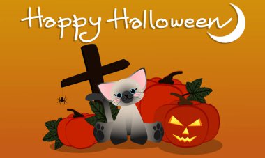 Cadılar Bayramı balkabağı feneriyle oturan sevimli kedi, mezarda asılı örümcek ve turuncu arka planda hilal ay olan mutlu Cadılar Bayramı metni. Vektör illüstrasyonu.