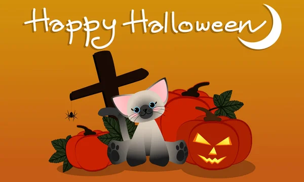 Roztomilá Kočka Sedí Halloween Dýně Lucerna Pavouk Visí Hrobě Šťastný — Stockový vektor
