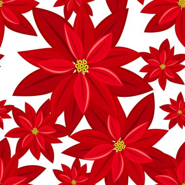 Poinsettia 'da Noel tatili unsurları, beyaz arka planda kırmızı renksiz desenli Noel çiçekleri. Kış tatilleri için kutlama sezonu kağıtları vesaire için tasarlandı. Vektör illüstrasyonu.