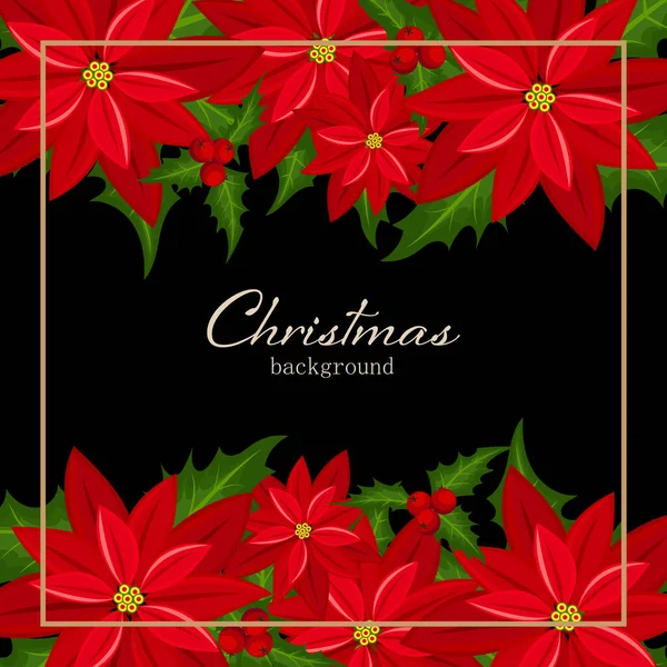 Christmas holiday season background of red Poinsettia, Christmas flower and holly berries branches with frame on black background with your copy space. Design for winter holidays greeting season. Vector illustration.