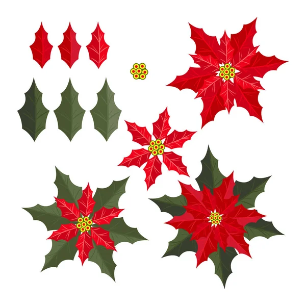 Elementi Natalizi Set Fiori Rossi Poinsettia Natale Con Foglie Isolate — Vettoriale Stock