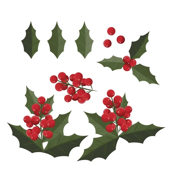 성탄절에는 뚜껑없는 나뭇잎과 열매들이 배경에 고립되어 크리스마스 요소들은 크리스마스 시즌이나 — 스톡 벡터