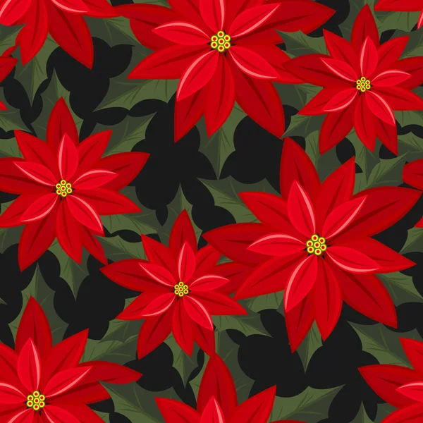 Червона Пуансетія Різдвяні Квіти Листям Чорному Тлі Весільні Канікули Вітрила — стоковий вектор