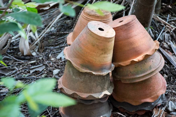 Bahçeye istiflenmiş bir grup terracotta çömleği.