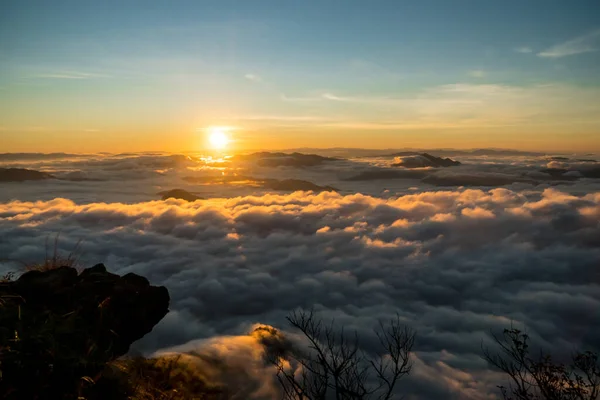 Chiang Rai, Tayland 'daki Phi Chi fa dağlık alanı ve ulusal orman parkı üzerinde gün doğumu ve sis denizi..