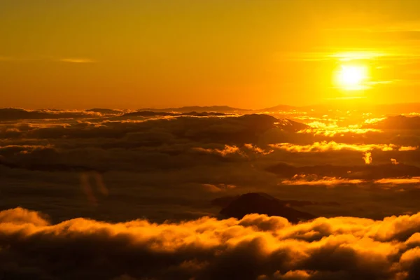 Sunrise Sea Fog View Phu Chi Mountain Area National Forest — Stock Photo, Image