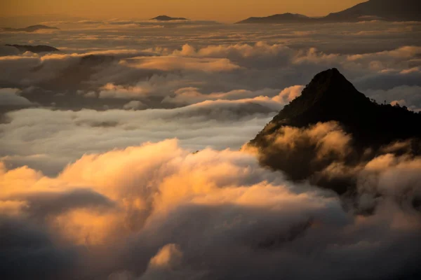 Sonnenaufgang Und Nebelmeer Blick Auf Phu Chi Berggebiet Und National — Stockfoto