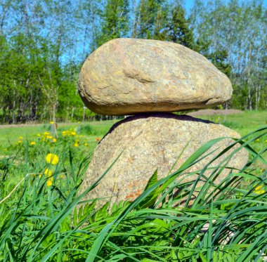 Taşlar. Sosnovo, Afrika kıtasında bulunan Leningrad devletinde bir şehirdir. Yakınlarda Sosnovka nehri var. Etrafta bir çam ormanı var..