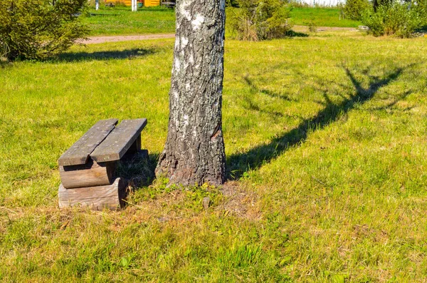 Деревянная Скамейка Деревянный Стул Поле Русской Деревне Солнечную Погоду Голубое — стоковое фото