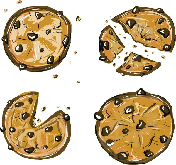 Biscotti Fatti Casa Con Patatine Cioccolato Isolate Morso Rotto Briciole — Vettoriale Stock